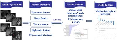 Radiomics nomogram based on multi-parametric magnetic resonance imaging for predicting early recurrence in small hepatocellular carcinoma after radiofrequency ablation